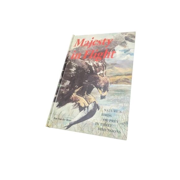 Majesty in Flight Ron Van der Meer Pop Up Book Paper Engineering Birds of‎ Prey - Picture 1 of 5